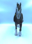 grey big horse saddle front